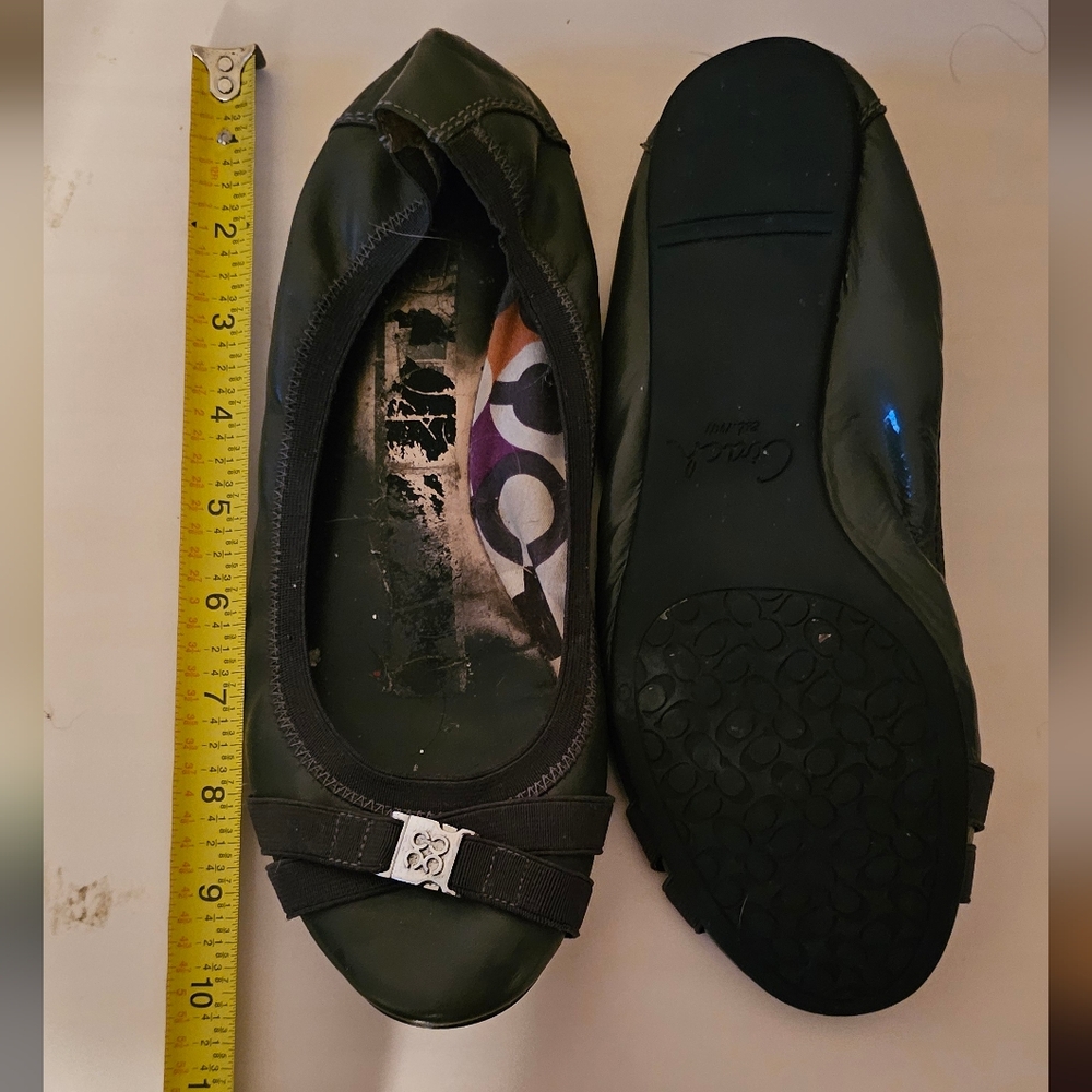 Coach Dwyer Flats Gray 9B